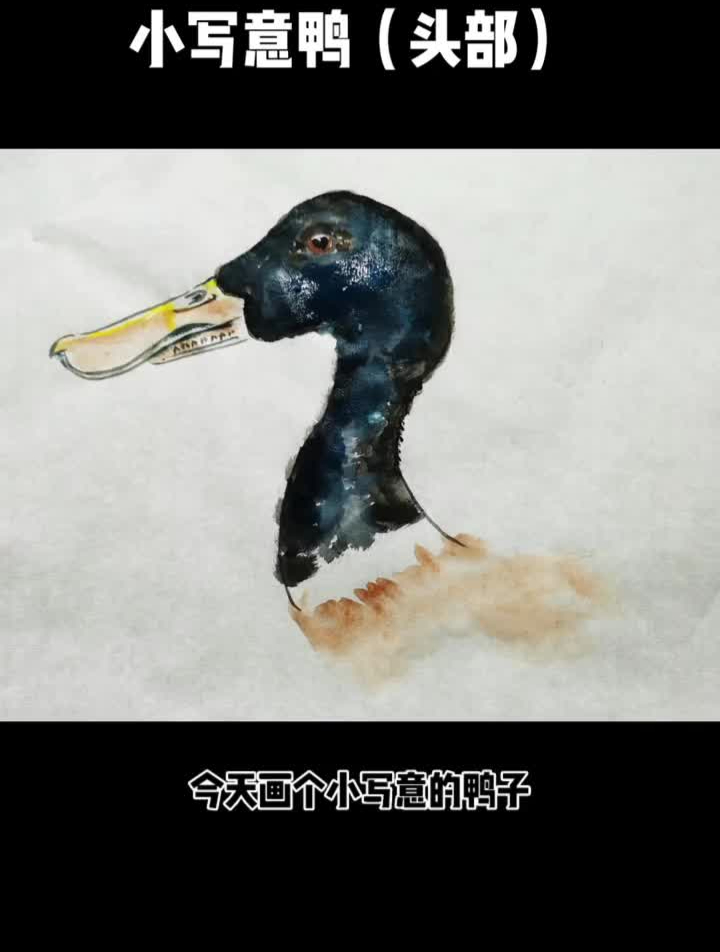 小写意国画鸭子(头部)国风合伙人国画教程花鸟鱼虫