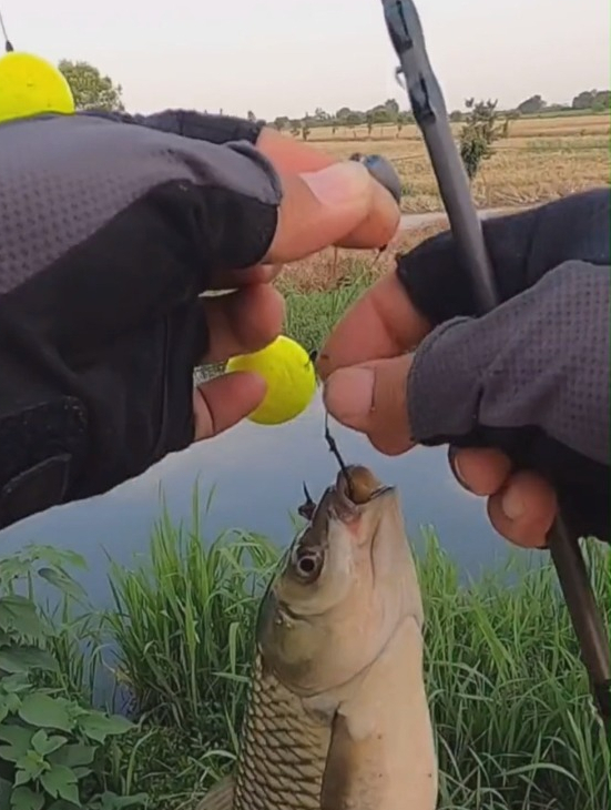 球形的大浮漂在水里来回跑,简直是神一般的操作!