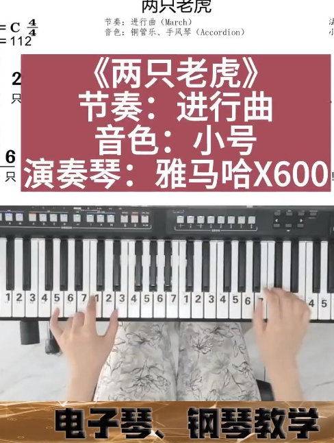简单又有趣的经典儿歌《两只老虎》钢琴教学 电子琴教学 钢琴简谱