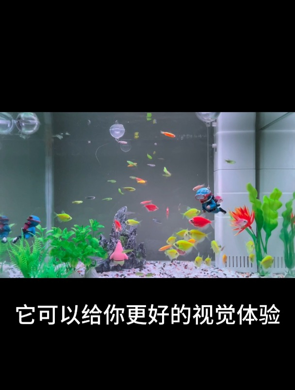 智能鱼缸,饲养小金鱼不再难!