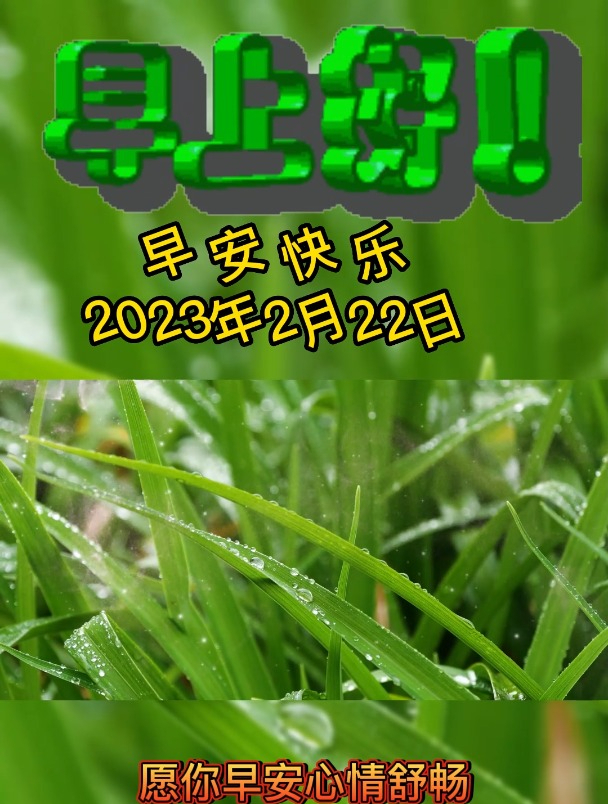 正能量早安祝福问候语录