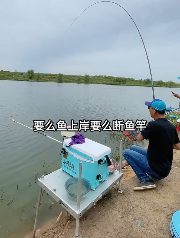 是怎样的缘分让我偶遇这条大鳙鱼?真香!