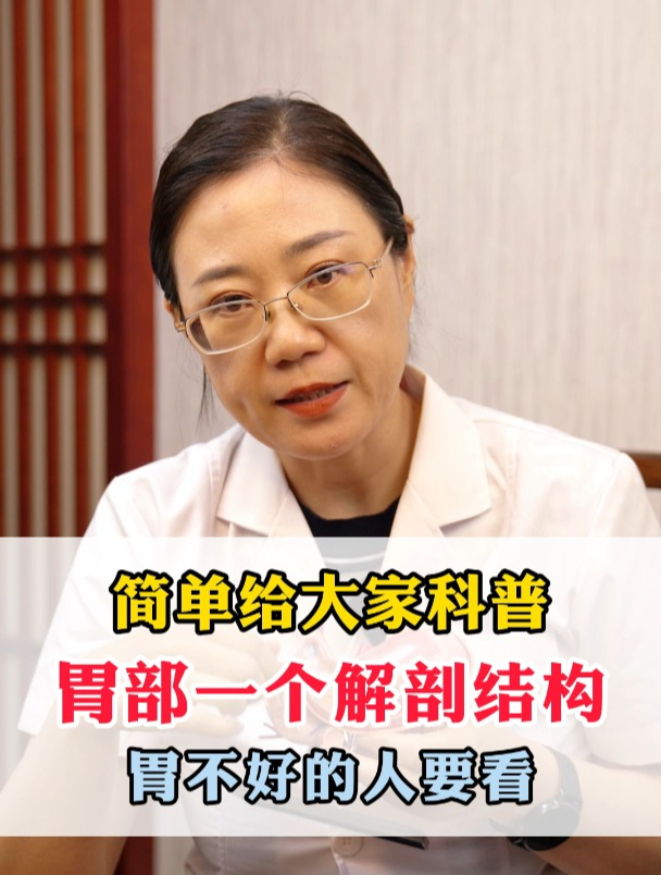 给大家简单讲一下咱们这个胃部的一个解刨结构