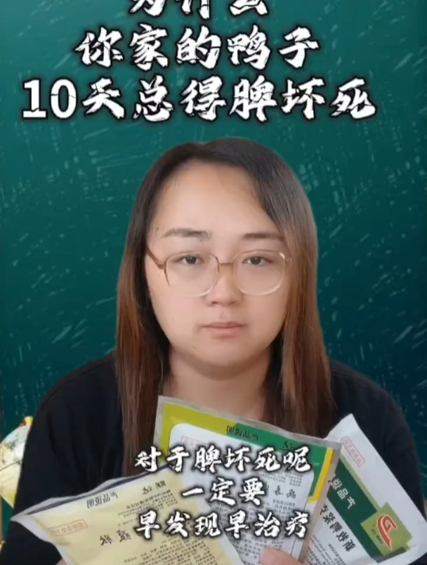 为什么你养的鸭子10天总得脾坏死?鸭脾脏坏死高发期什么时候?