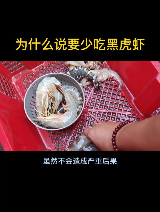 为什么说要少吃黑虎虾