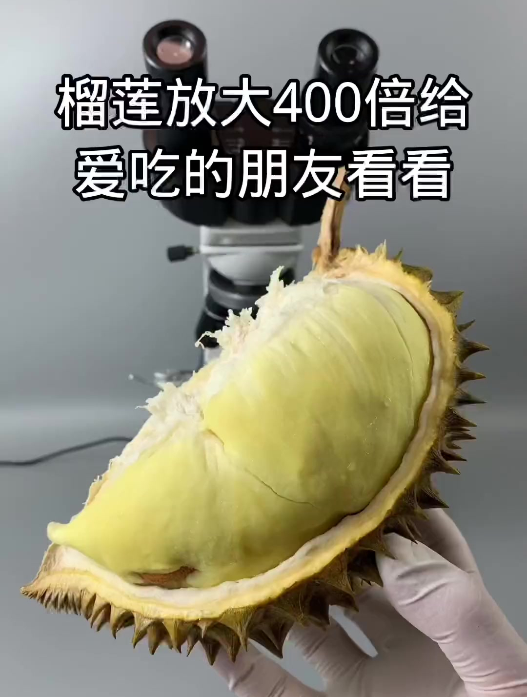 榴莲的营养有哪些呢?