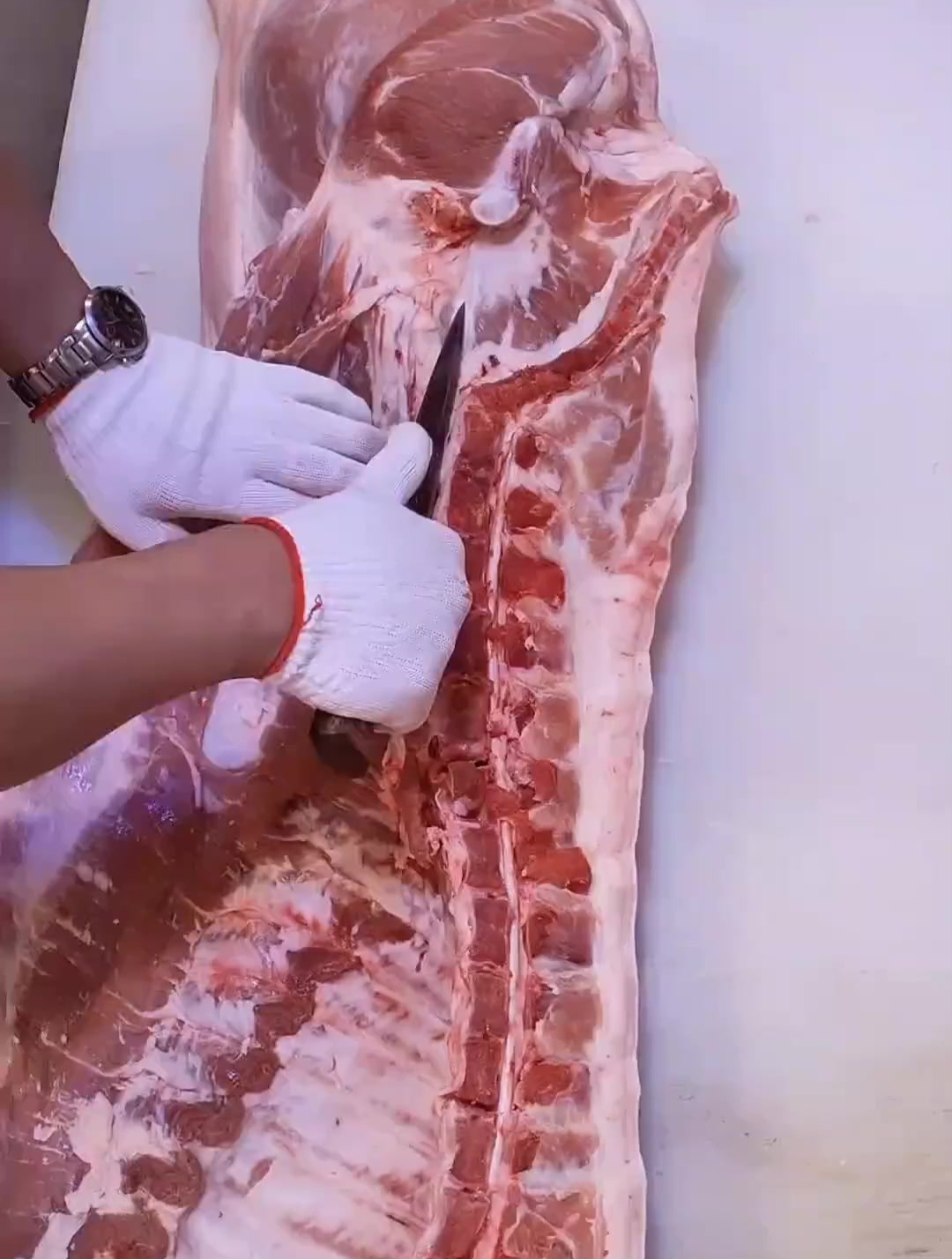 白条猪肉剔骨分割过程 是不是很解压