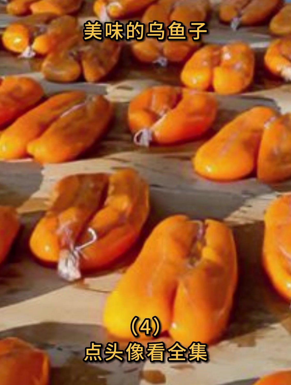 美味的乌鱼子(4)