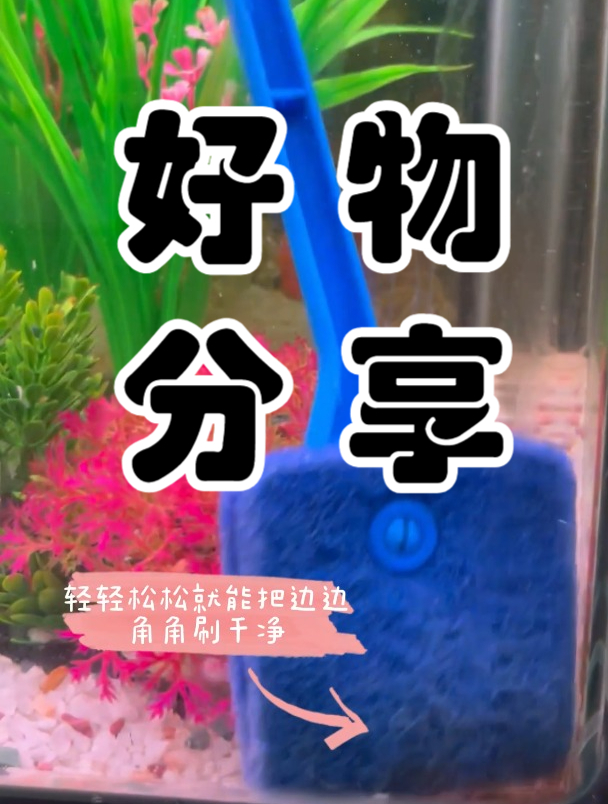 刷掉藻,拥有清透水族世界 用这款神器刷子让鱼缸瞬间焕然一新!