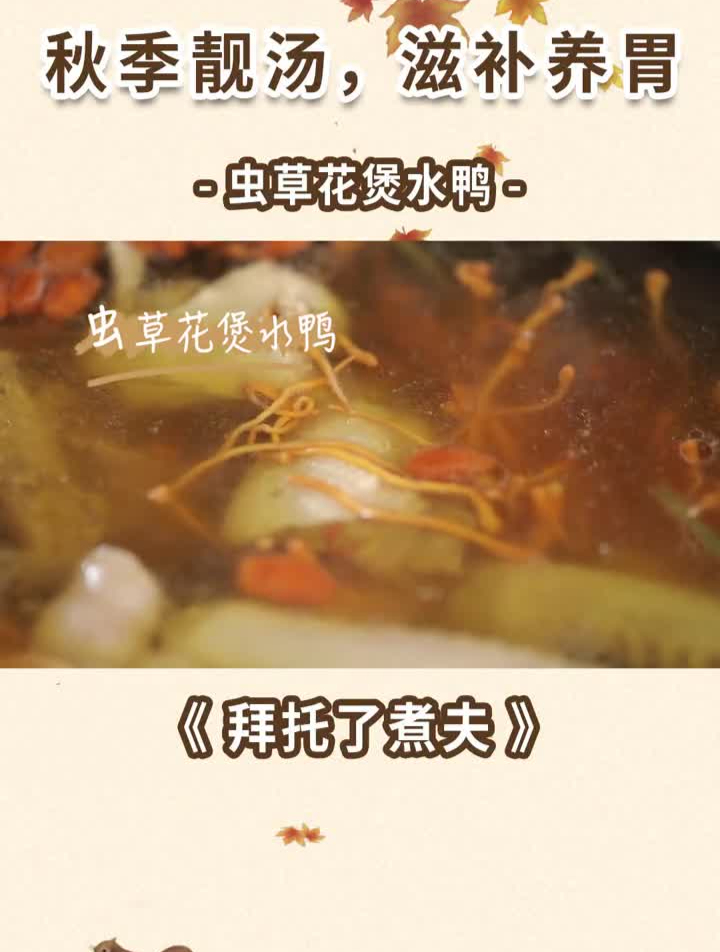 虫草花炖制的秋季滋补靓汤,汤鲜鸭美,暖身又暖胃!
