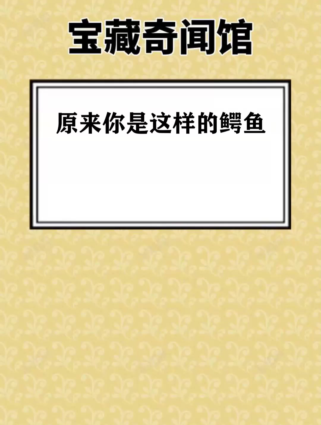原来你是这样的鳄鱼
