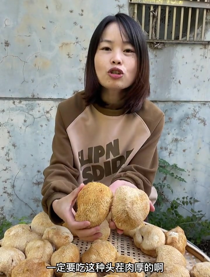 高山长毛猴头菇,今年新菇煲汤煮粥炒菜鲜美 猴头菇