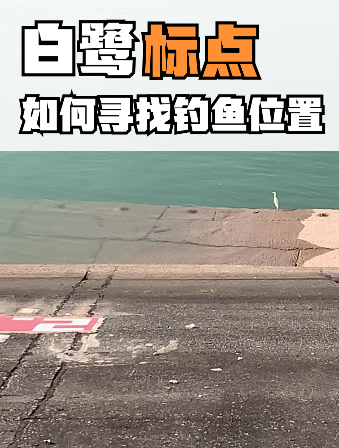 果然有白鹭的地方就有鱼,找白鹭找钓鱼标点