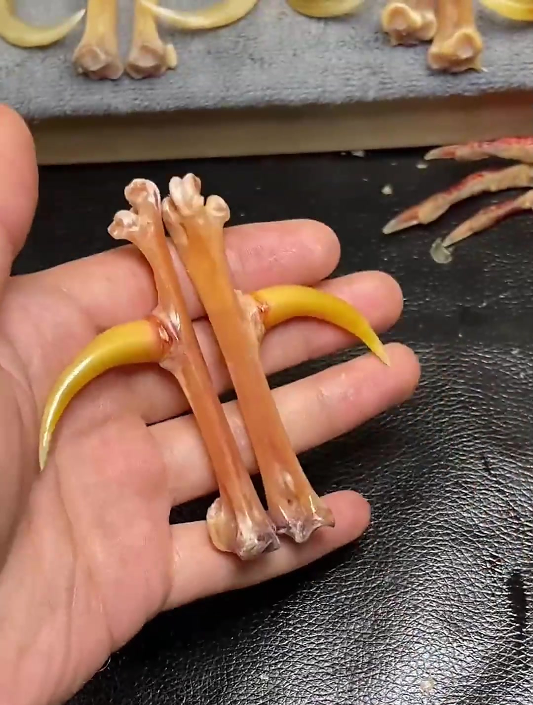 鸡爪变身漂亮手把件全过程