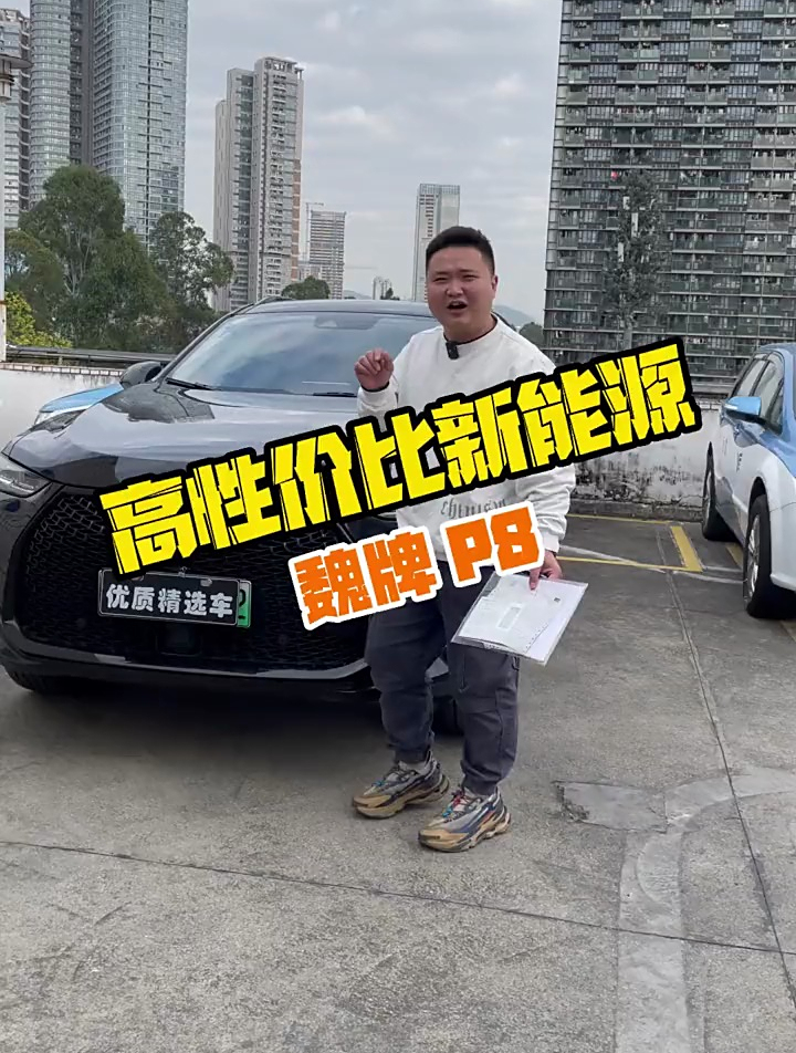 高性价比新能源二手车魏牌P8