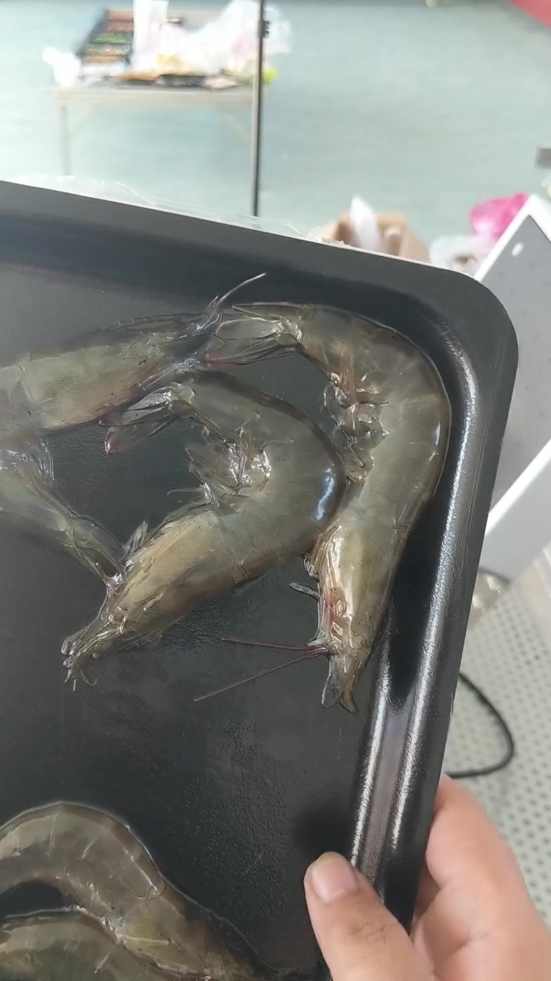 大虾真空包装机,鲜虾锁鲜盒包装机