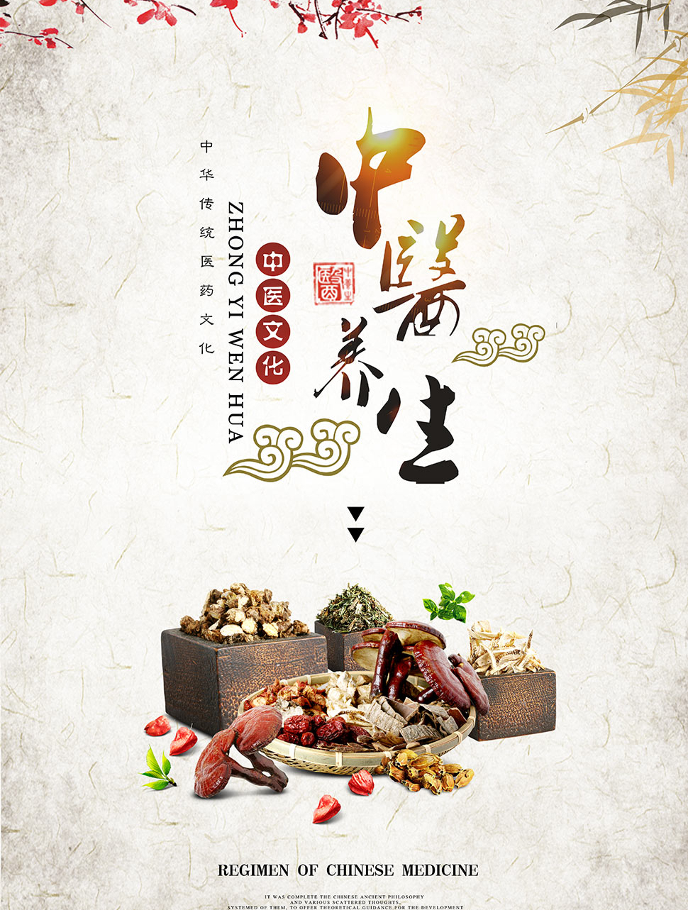 用中华智慧百病食疗大全 食疗 养生身体健康,才是最大的幸福