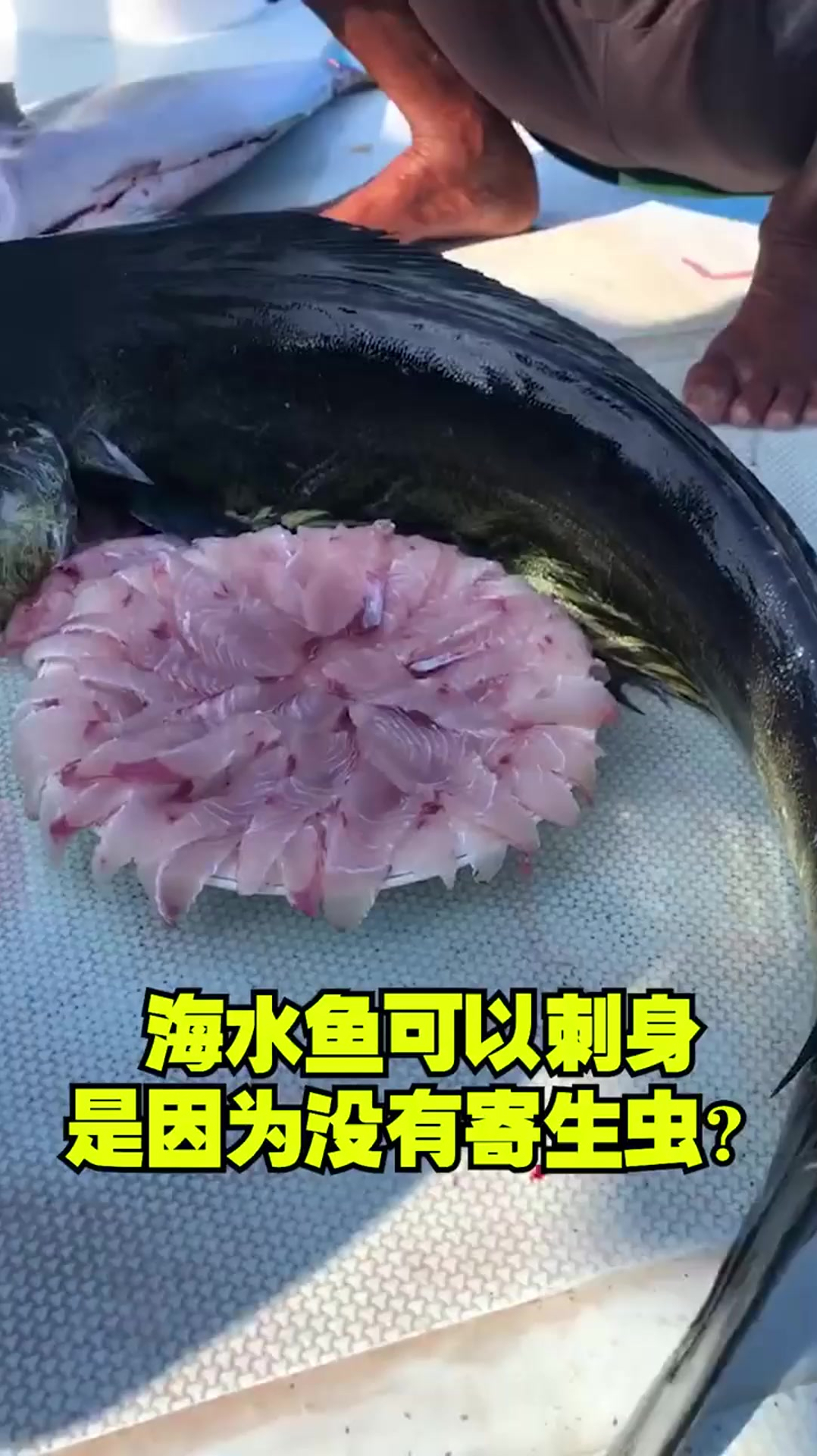 知识科普,海水鱼可以刺身,是因为没有寄生虫?