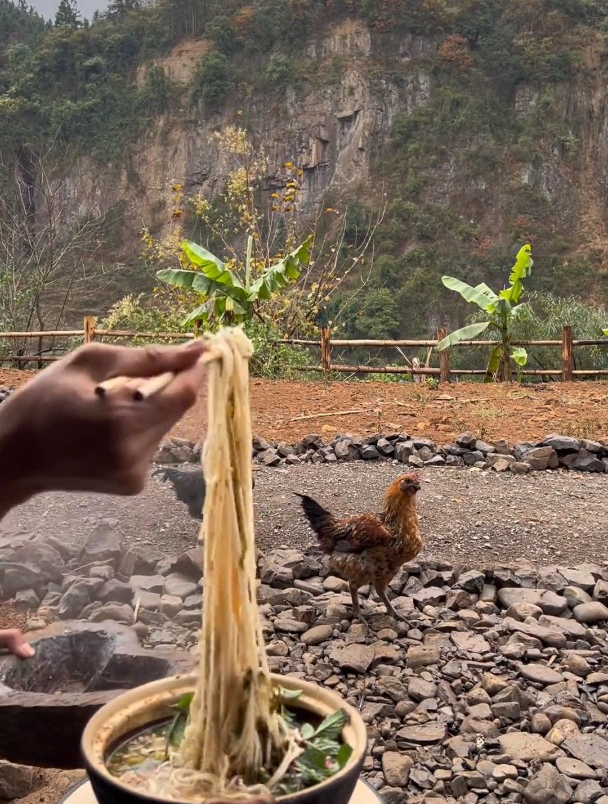 终于盼来这个冬天的第一场雪,做了香脆辣椒丝,煮了红豆酸菜米线