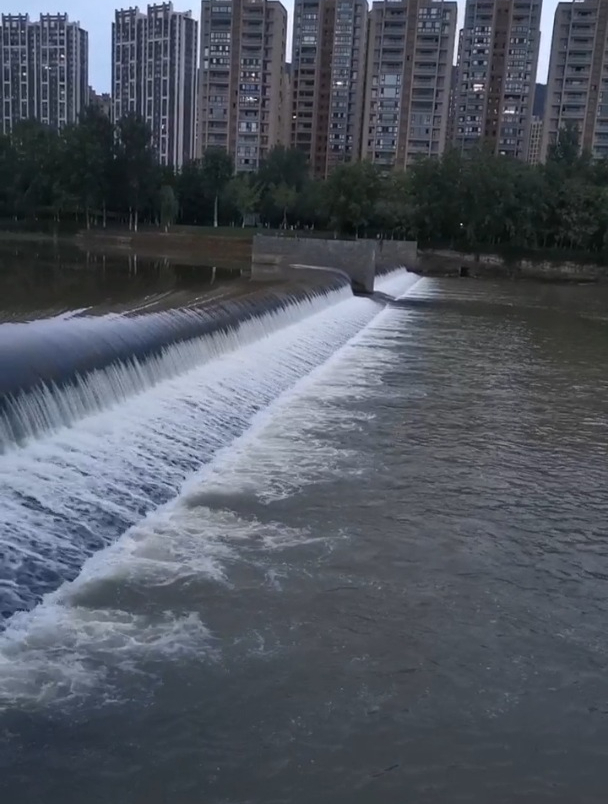 鱼儿游啊游,游到水坝下成团成群还在游