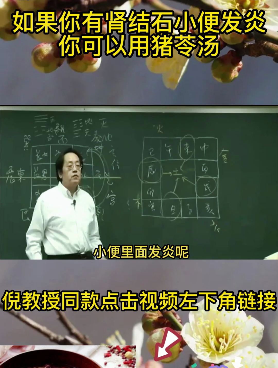 猪苓汤的功效有很多,想了解的可以来听听倪师的讲解
