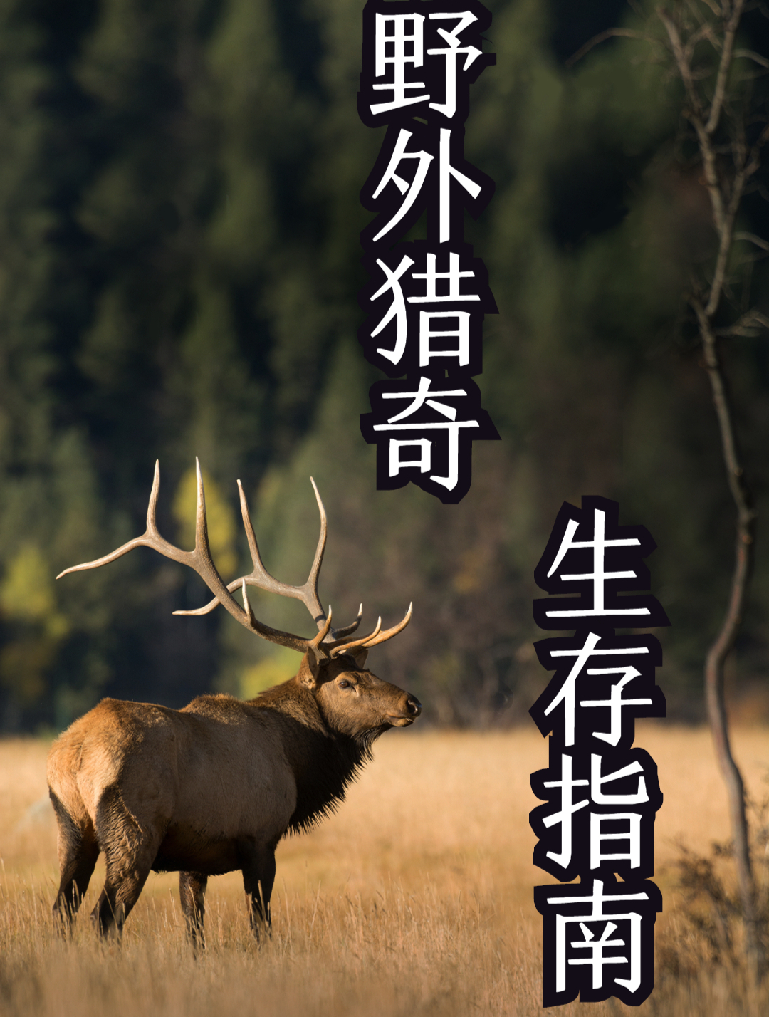 世界上最能挨饿的动物–鳄鱼2
