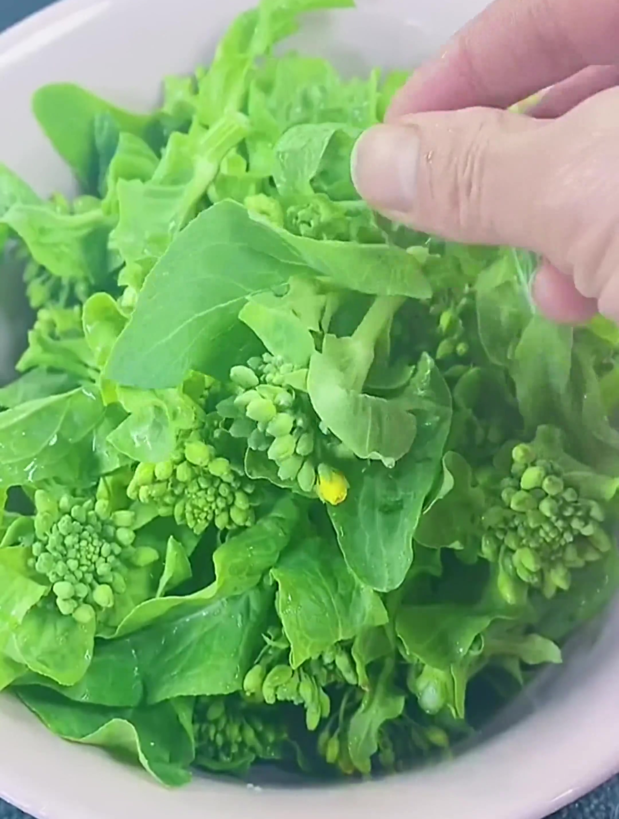 白菜苔的花不要扔,这样做三大盘都不够吃