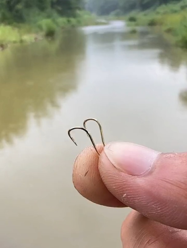 鱼钩没选对,跑鱼多几倍!钓鲫鱼时鱼钩型号与大小该怎么选?