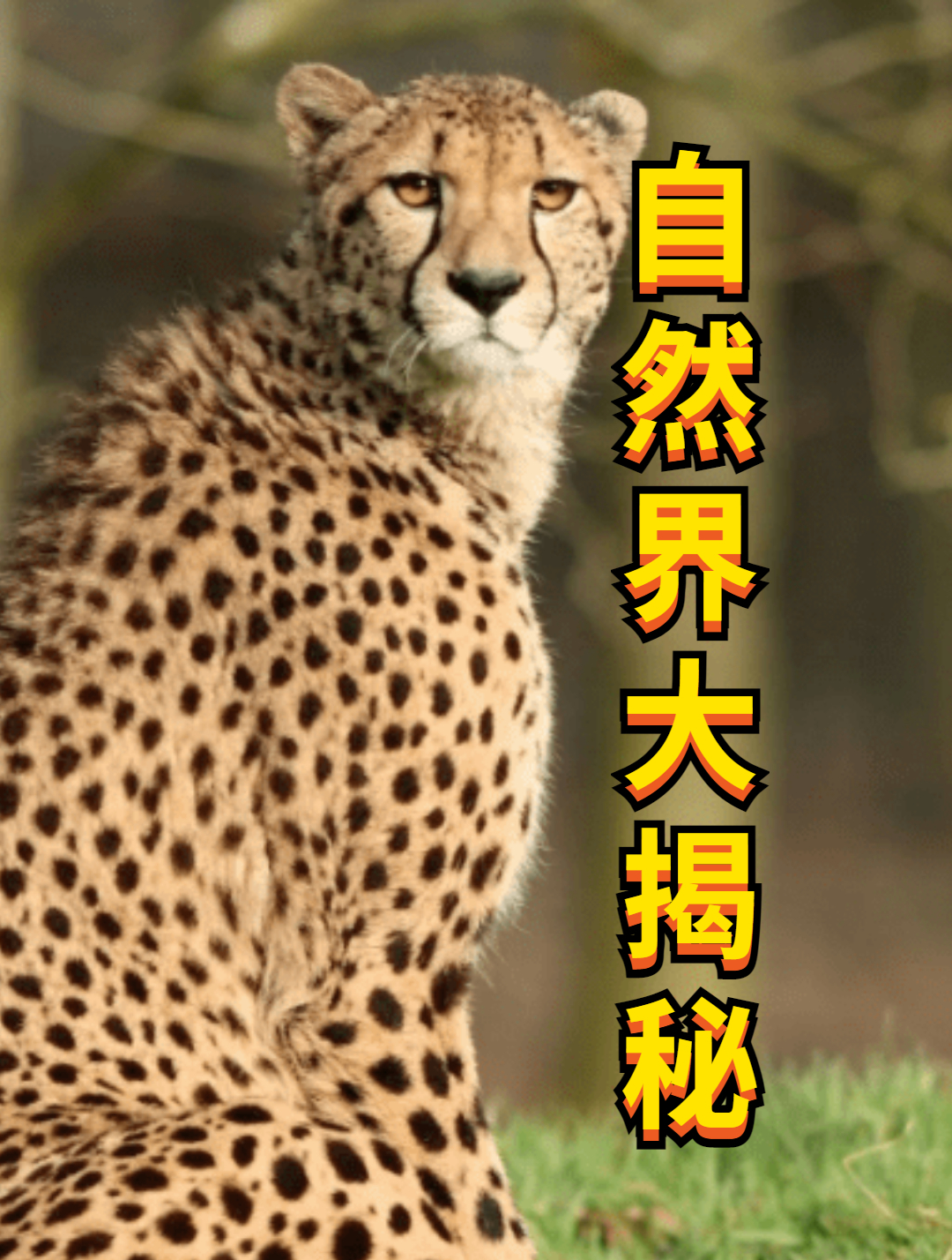美女河中被大鱼袭击,铁链挂大公鸡,把怪“怪物”上来!3