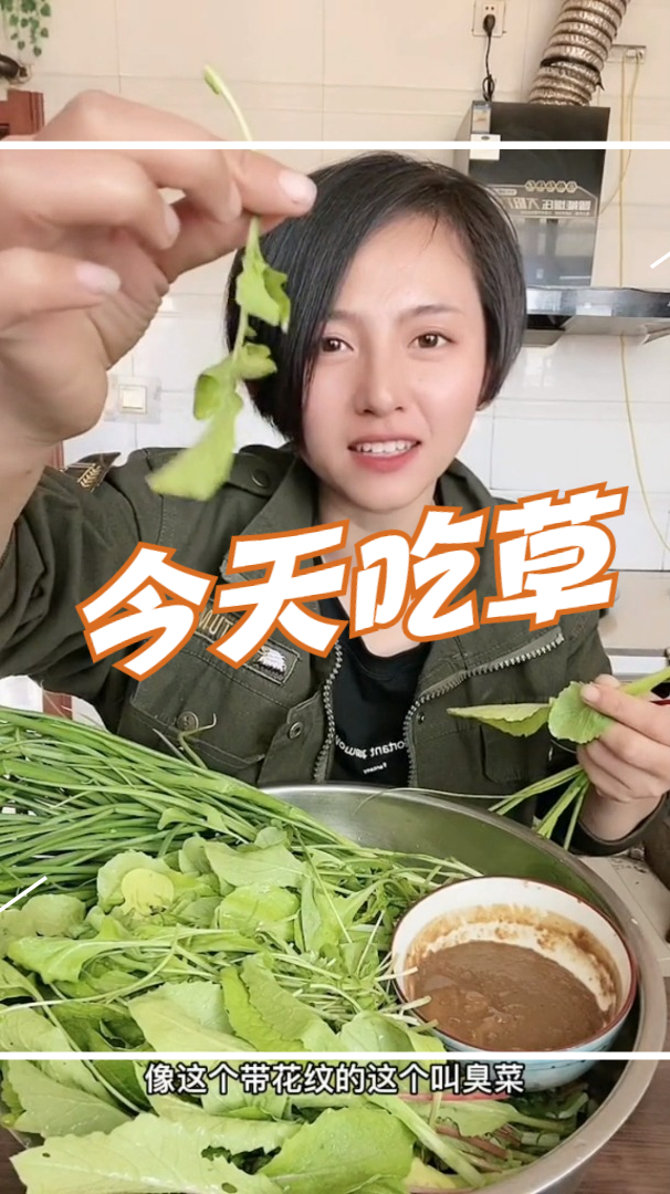 我吃的不是草,是东北的蘸酱菜,蘸东北大酱吃地