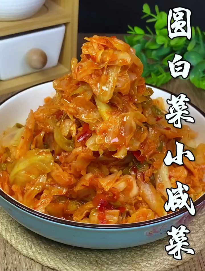 分享圆白菜咸菜做法 酸甜爽脆可好吃了