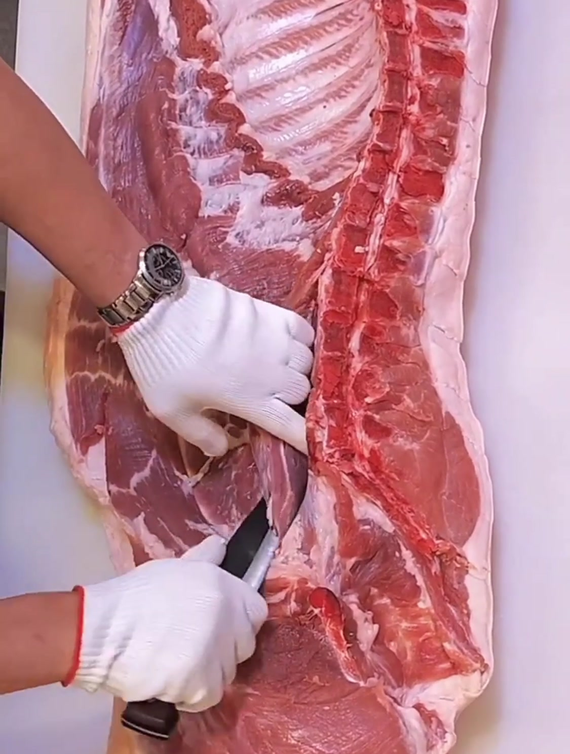 简单说说猪肉部位名称,边开边讲