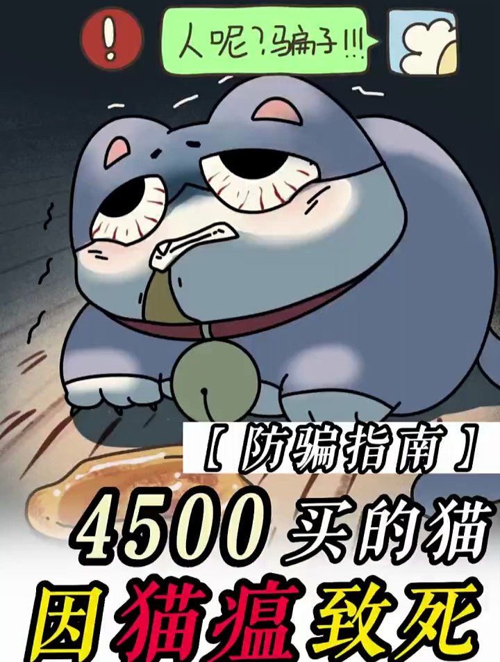 4500买到病猫?这4个防骗方法一定要知道!