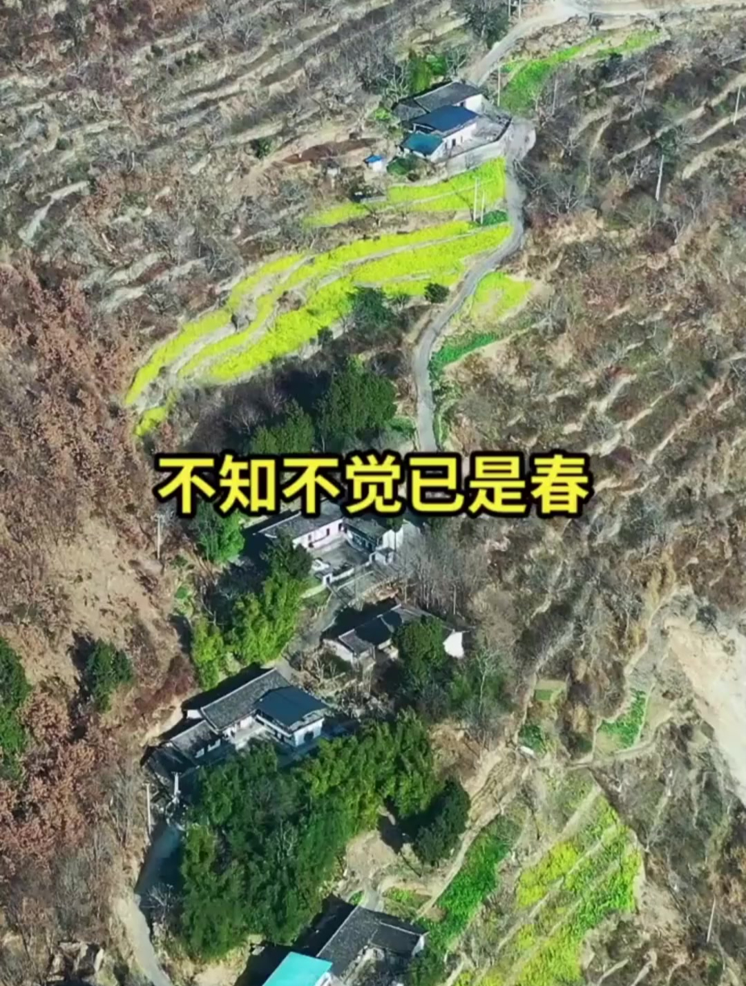 春天最美的情话,我在油菜花田里等你!