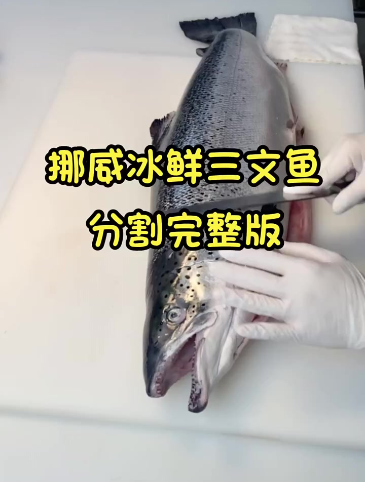 三文鱼刺身 三文鱼分割