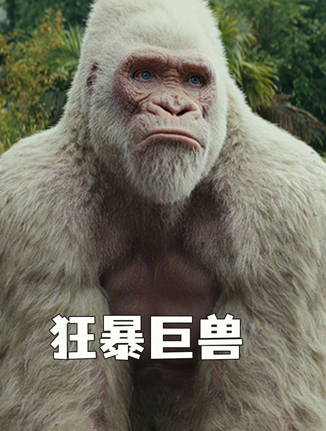 地表最强男人强森,大战鳄鱼金刚战狼!