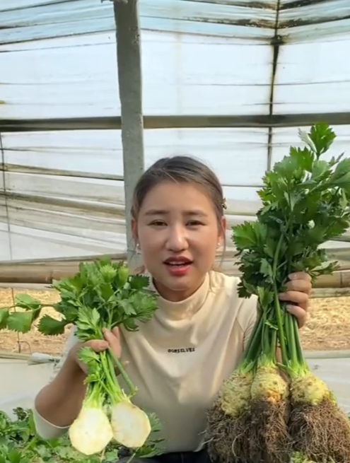 来自地中海的“根芹菜”,肉质肥美赛鲍鱼,它美味又营养!