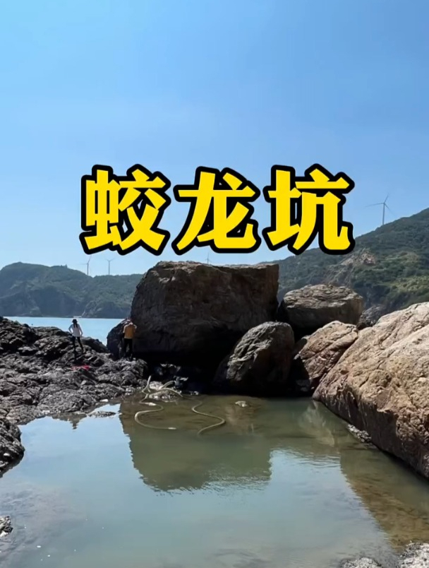 30斤马鲛鱼打窝后 竟擒获百年难得一见的雪花龙胆石斑