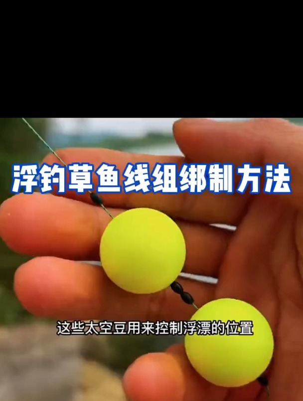 一分钟学会:浮钓草鱼线组绑法,挂上青草、蚱蜢,草鱼钓到手软!
