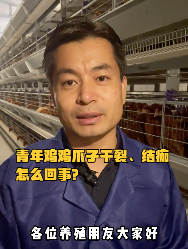 青年鸡鸡爪子干裂、结痂,怎么回事?