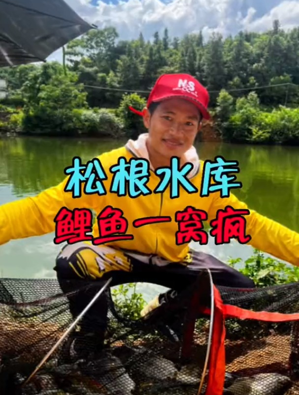 一群鲤鱼进窝,杆子也拉出去水库!