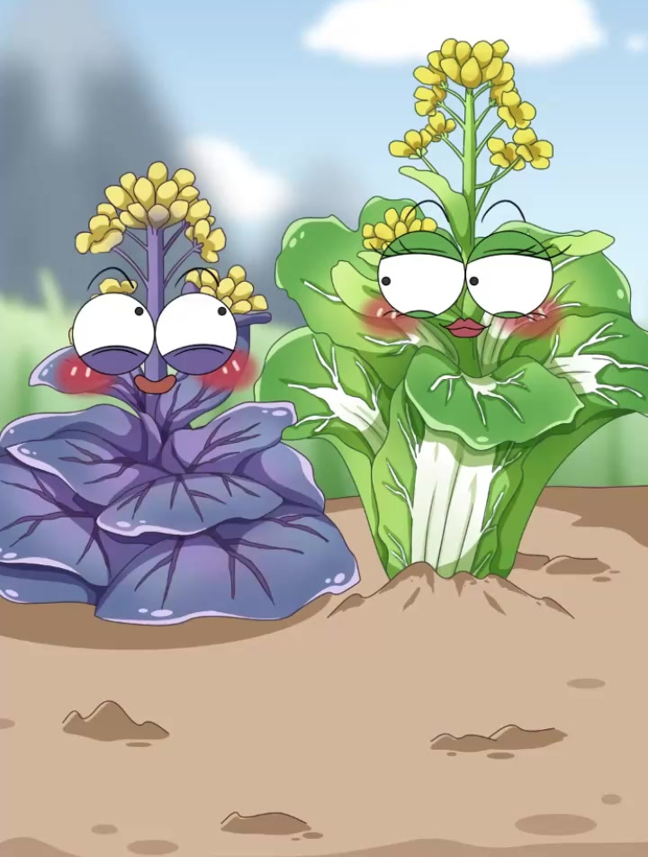 白菜杂交紫甘蓝,最后种出来个啥?