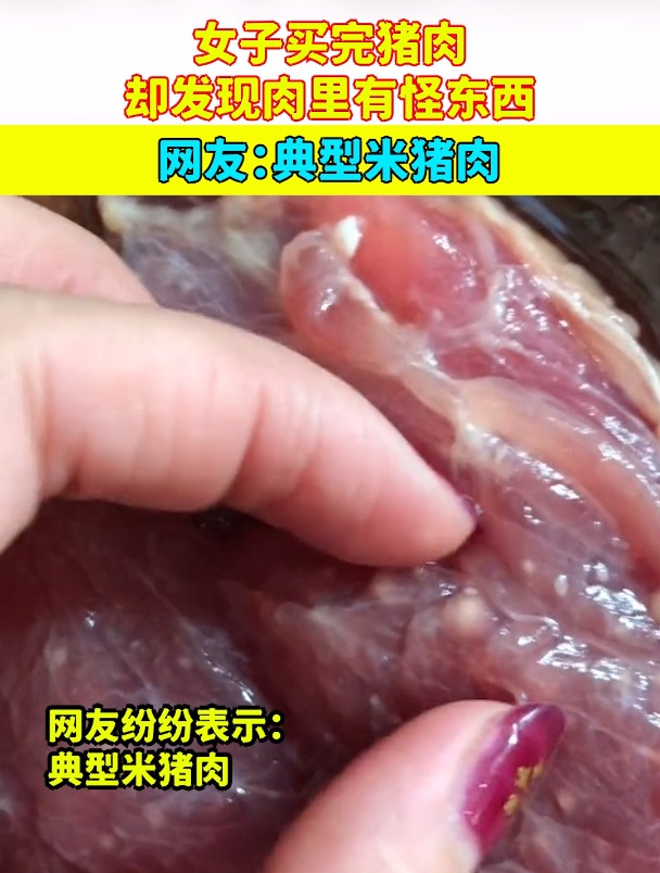 女子买完猪肉,却发现肉里有怪东西,网友:典型米猪肉