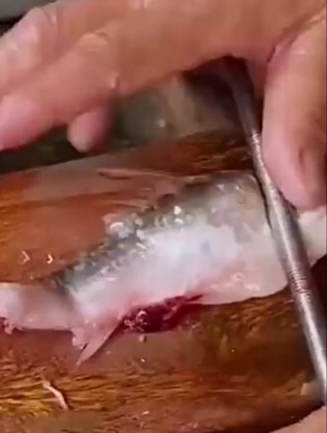 又长见识了,去掉尾巴就能挤出肉泥,鱼肉丸子都不用搅了