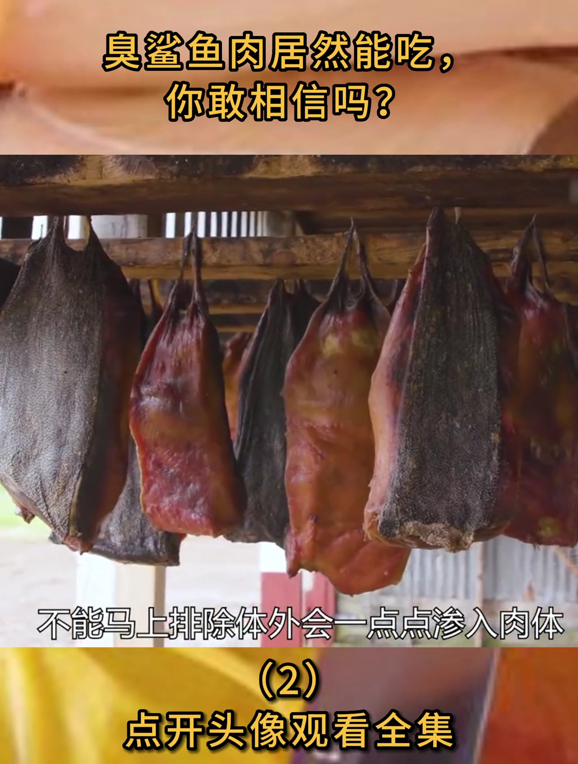 臭鲨鱼肉居然能吃,你敢相信吗?(2)