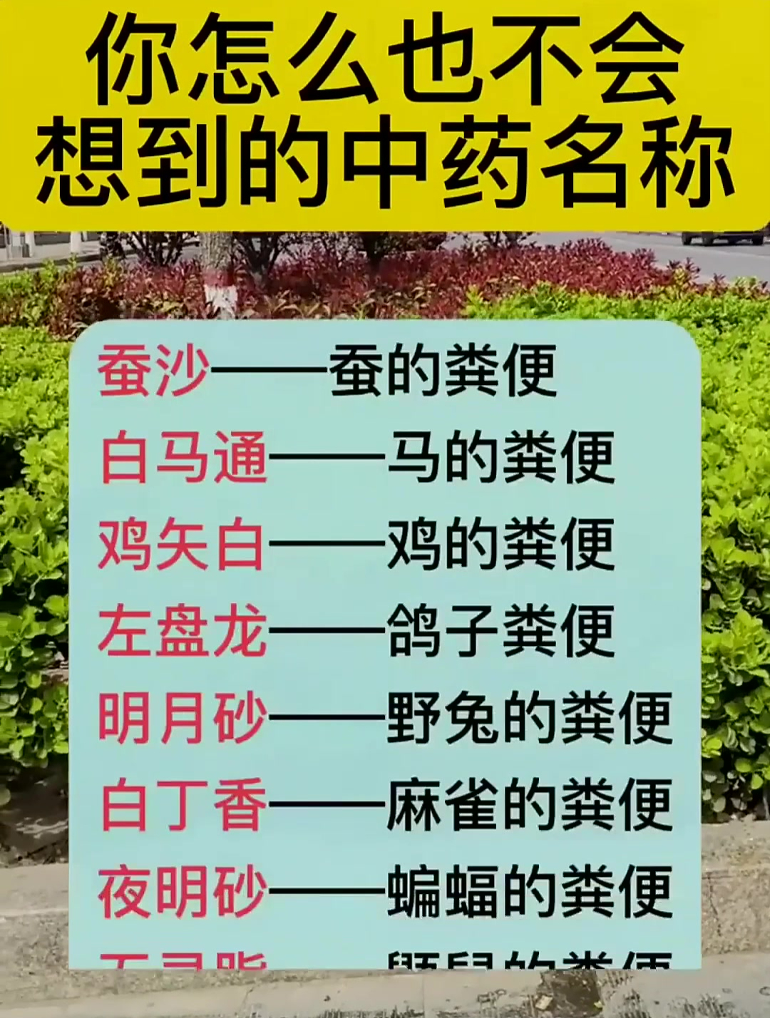 你怎么也不会想到的中药名称