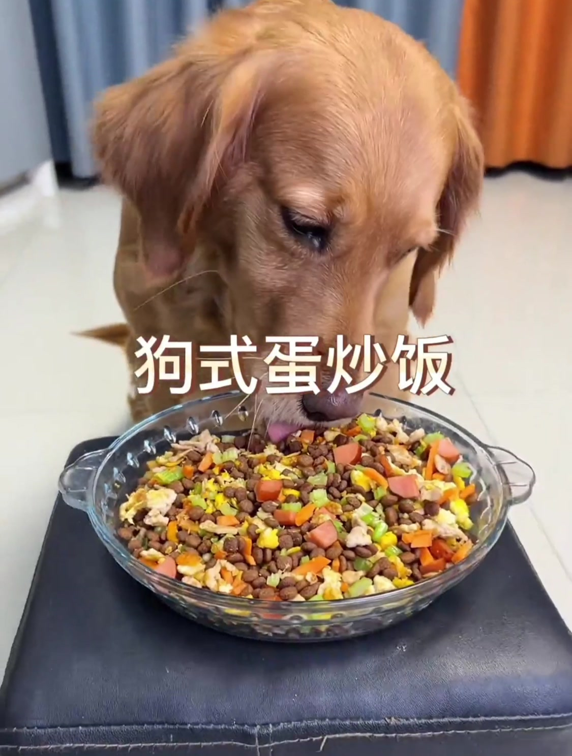 老板,给翠花来份狗式蛋炒饭呗!