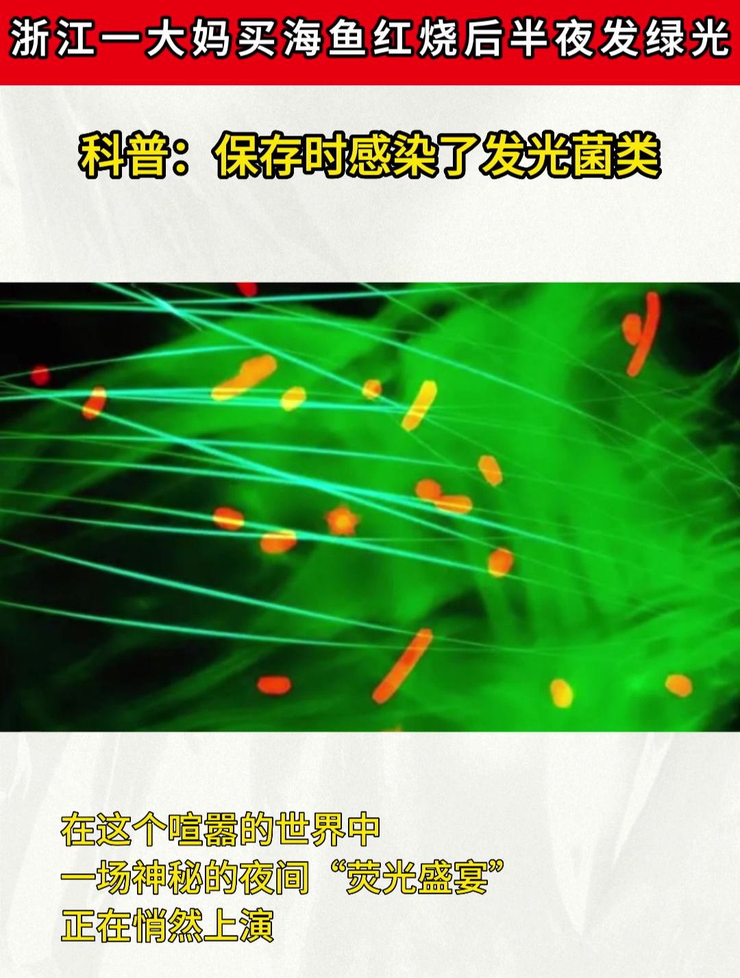 浙江一大妈买海鱼红烧后半夜发绿光,科普:保存时感染了发光菌类