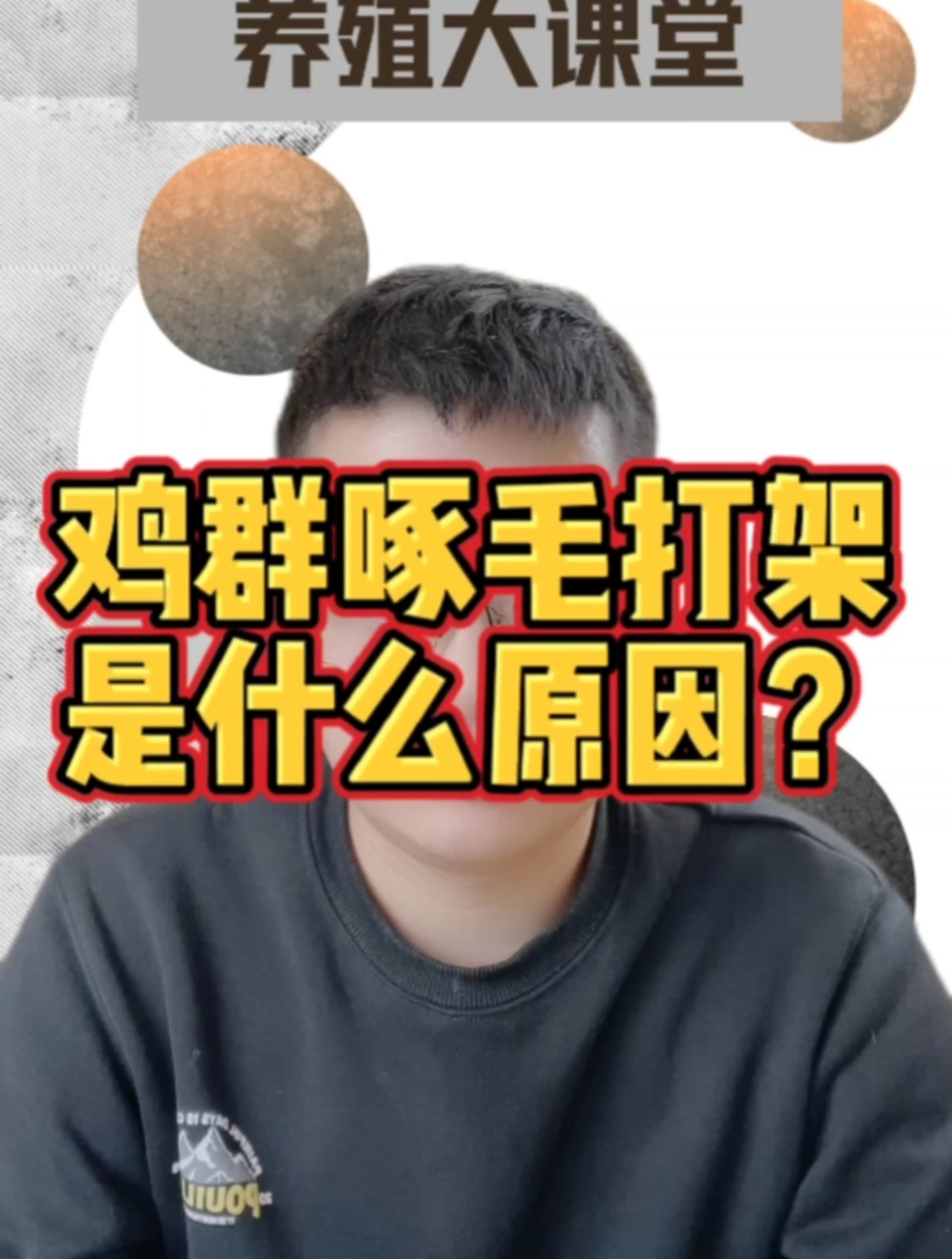 鸡群啄毛打架是什么原因?鸡群出现啄毛打架的原因?