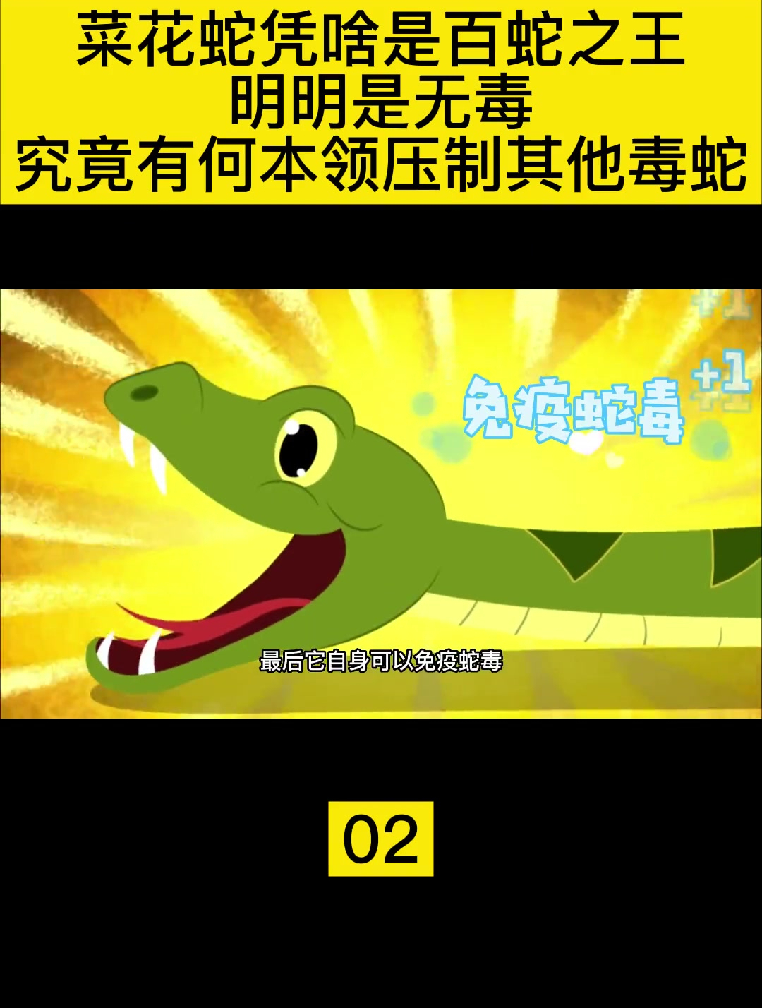 菜花蛇凭啥是百蛇之王明明是无毒(2)